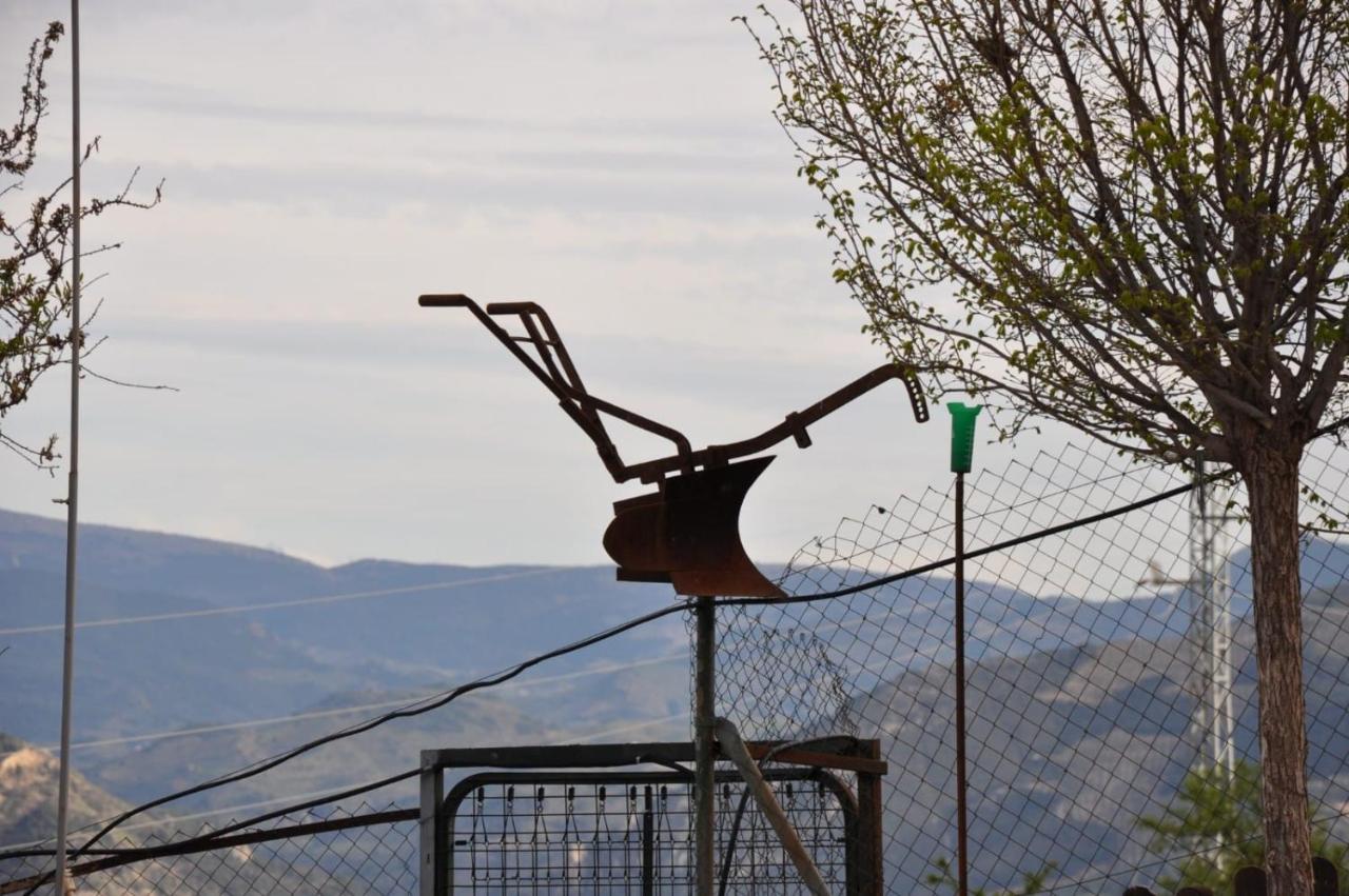 Vivienda Turistica De Alojamiento Rural El Almendro Pegalajar Exterior foto