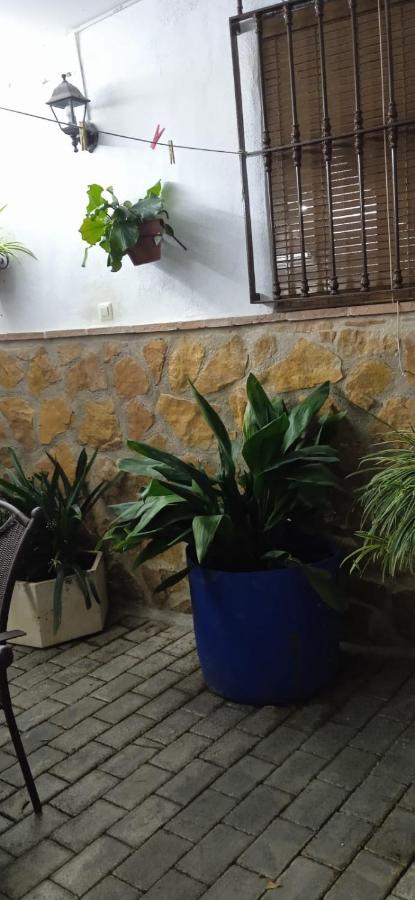 Vivienda Turistica De Alojamiento Rural El Almendro Pegalajar Exterior foto