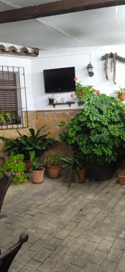 Vivienda Turistica De Alojamiento Rural El Almendro Pegalajar Exterior foto