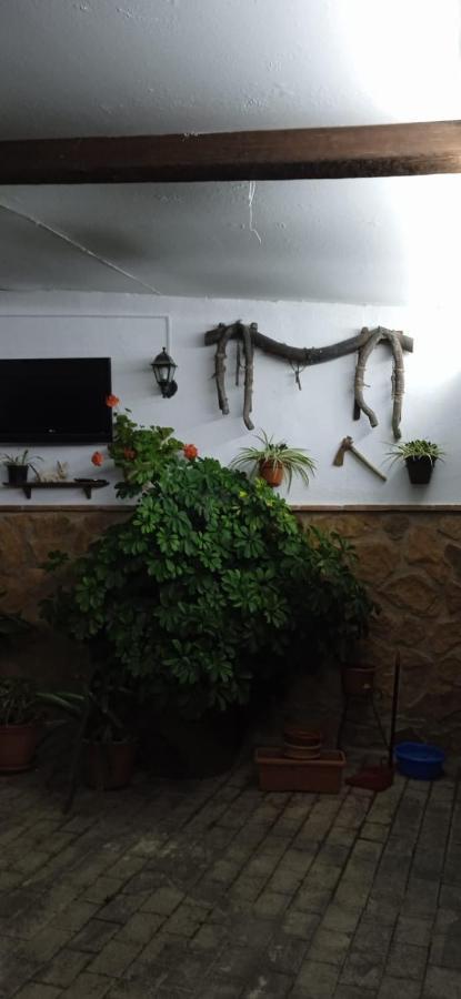 Vivienda Turistica De Alojamiento Rural El Almendro Pegalajar Exterior foto