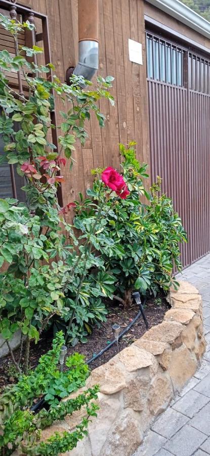 Vivienda Turistica De Alojamiento Rural El Almendro Pegalajar Exterior foto