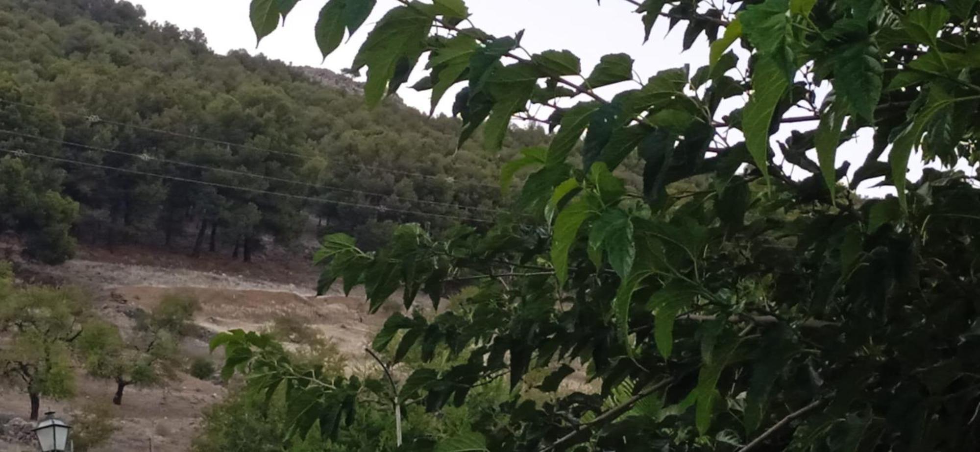 Vivienda Turistica De Alojamiento Rural El Almendro Pegalajar Exterior foto